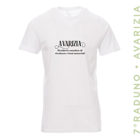 7° Raduno • AVARIZIA