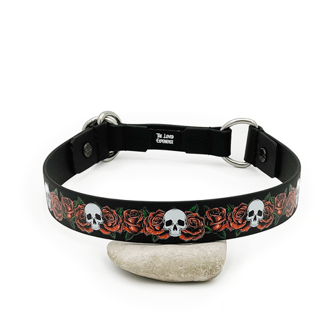 Collare Skulls & Roses