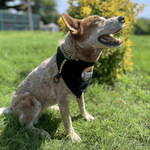 Bandana