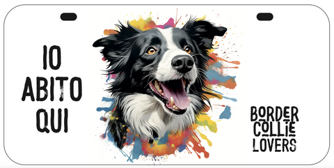Targa Border Collie