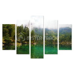 Quadro Lago di Tovel Trentino Alto Adige