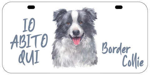 TARGA BORDER COLLIE